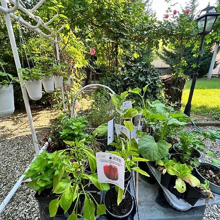 B&B La Bugia Di Villa Tanzi Parma Dış mekan fotoğraf